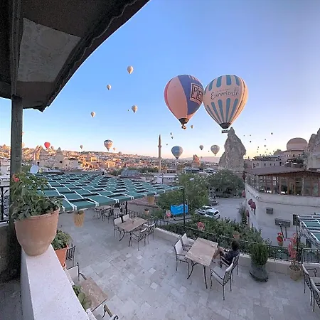 House Hotel *